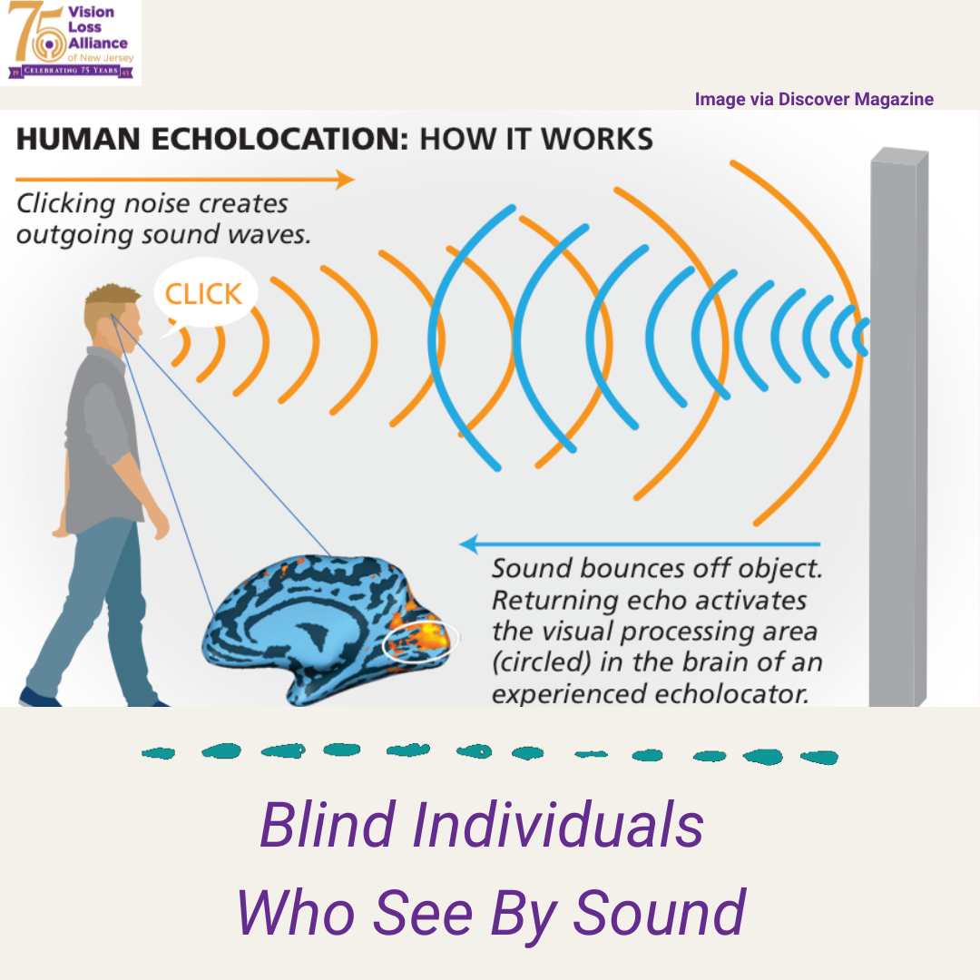 Human Echolocation: How - Loss Alliance of New Jersey