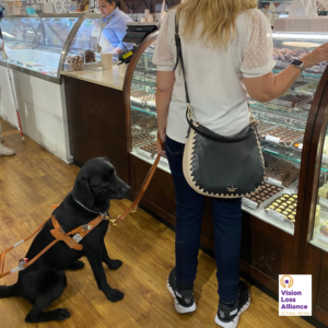 A woman holds her guide dog in front of a counter filled with sweets at a local Morristown business.